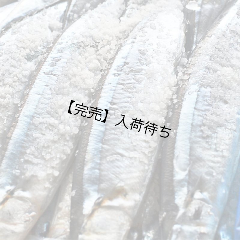 画像2: 超特大塩さんま2尾　【本年最終】9/30以降発送分 (2)