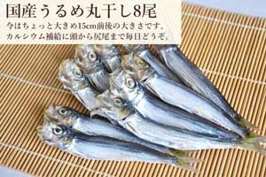 画像1: 【58セット対象】国産うるめ丸干し8尾（普通袋） (1)